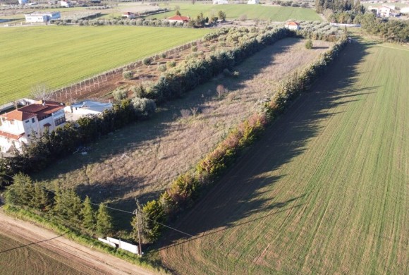 Land for sale in Chalkidiki