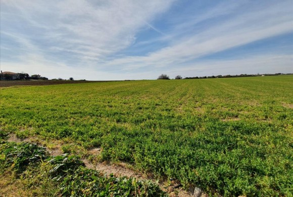Land for sale in Chalkidiki