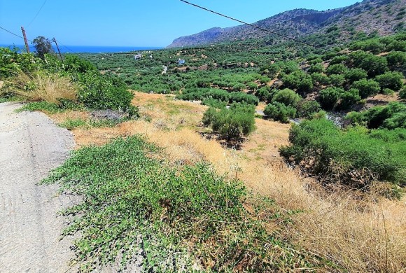Land for sale in Lasithi Prefecture