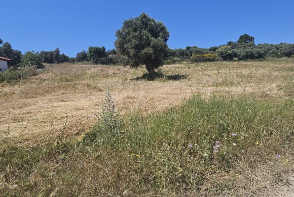 Land for sale in Chalkidiki
