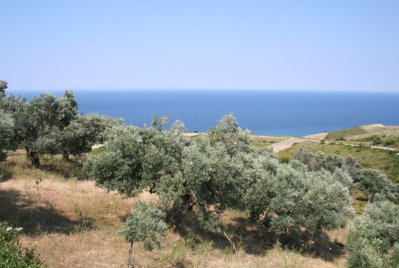 Land for sale in Evia
