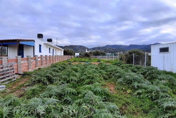 Land for sale in Lasithi Prefecture