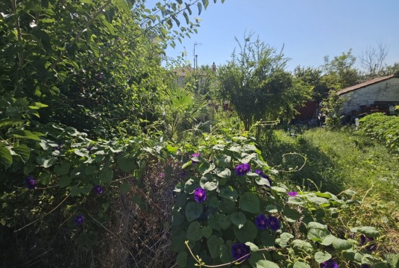 Land for sale in Chalkidiki
