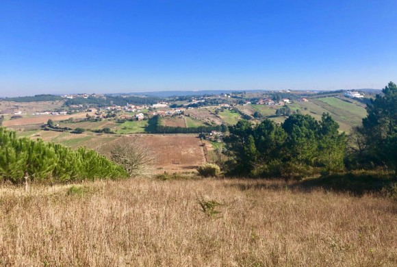Plot for sale in Leiria