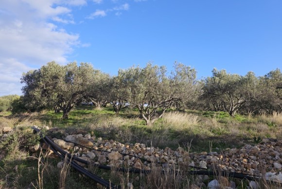 Land for sale in Lasithi Prefecture