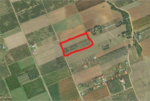 Land for sale in Chalkidiki