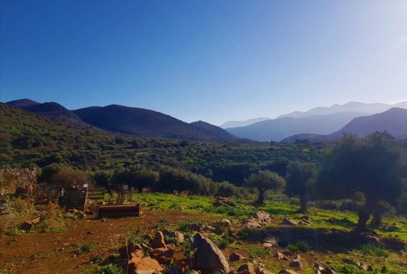 Land for sale in Lasithi Prefecture