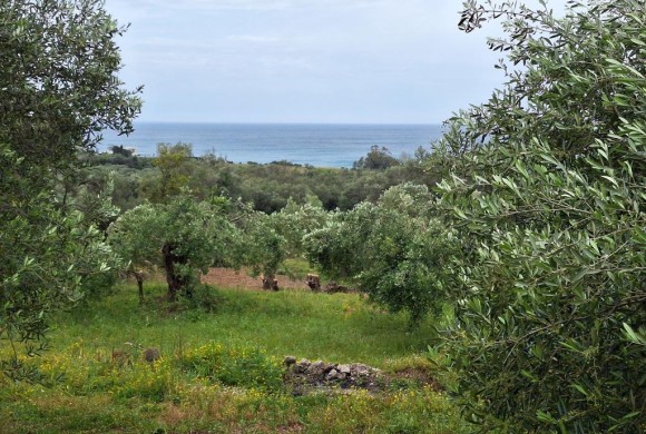 Land for sale in Corfu Prefecture