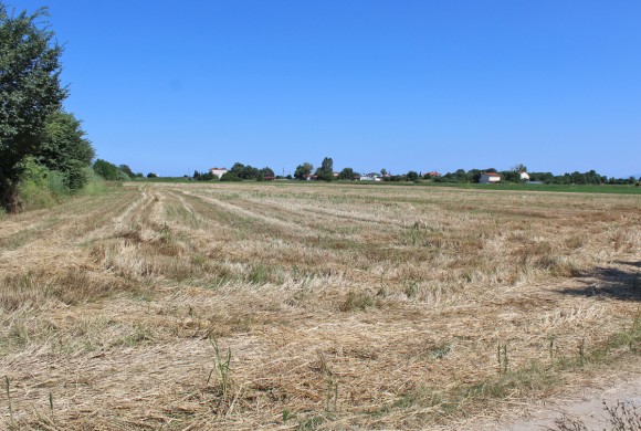 Land for sale in Pieria Prefecture