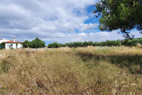 Land for sale in Chalkidiki