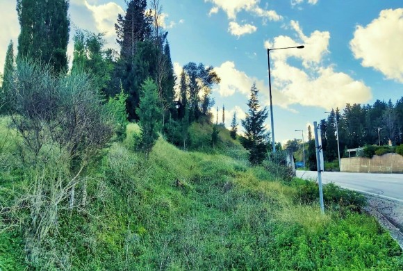 Land for sale in Corfu Prefecture