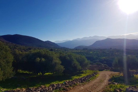 Land for sale in Lasithi Prefecture
