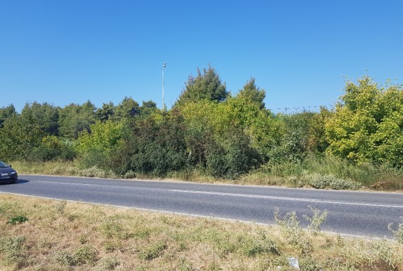 Land for sale in Chalkidiki
