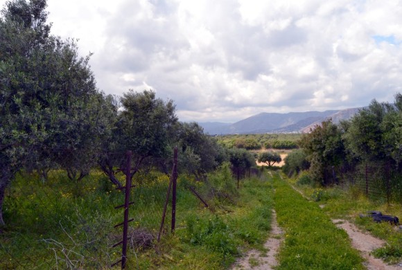 Land for sale in Heraklion Prefecture