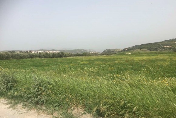 Land for sale in Heraklion Prefecture
