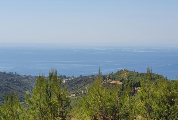 Land for sale in Chalkidiki