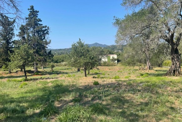 Land for sale in Corfu Prefecture