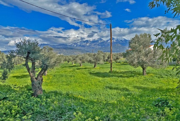 Land for sale in Heraklion Prefecture