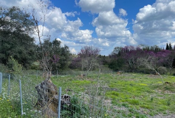 Land for sale in Corfu Prefecture