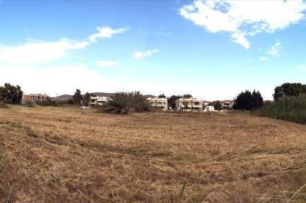 Land for sale in 