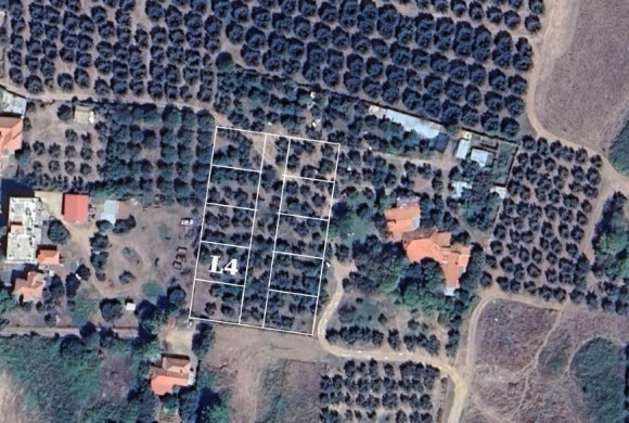 Land for sale in Chalkidiki