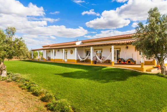 Villa for sale in Ferreira do Alentejo