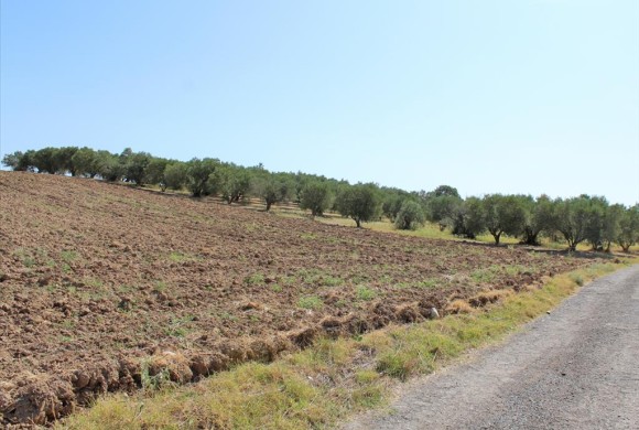 Land for sale in Pieria Prefecture