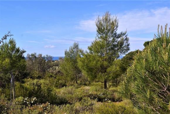 Land for sale in Corfu Prefecture