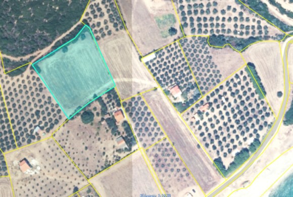 Land for sale in Chalkidiki