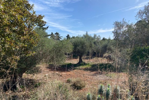Land for sale in Chania Prefecture