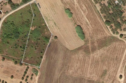 Land for sale in 