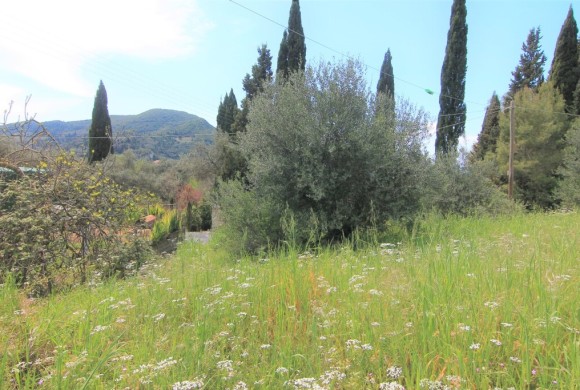 Land for sale in Corfu Prefecture