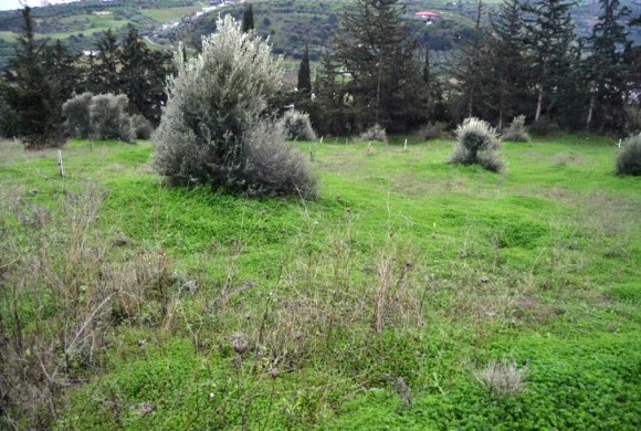 Land for sale in Heraklion Prefecture