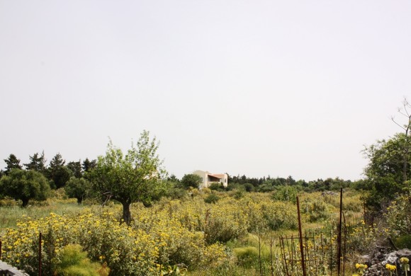 Land for sale in Chania Prefecture