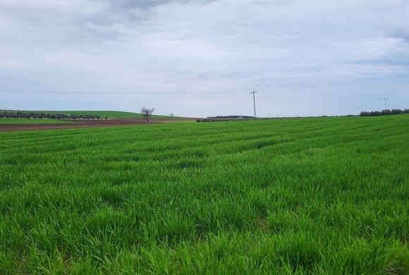 Land for sale in Chalkidiki