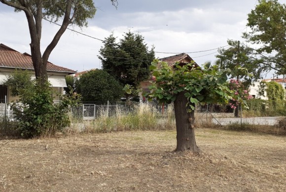 Land for sale in Pieria Prefecture