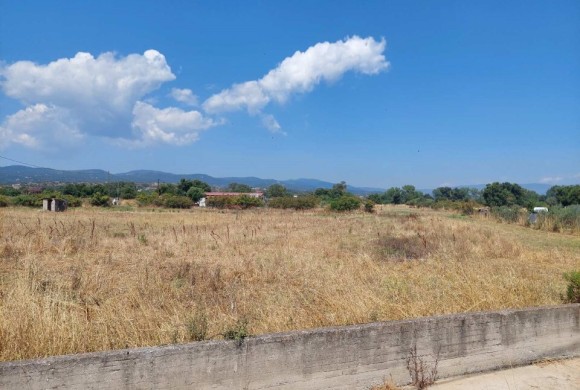Land for sale in Chalkidiki