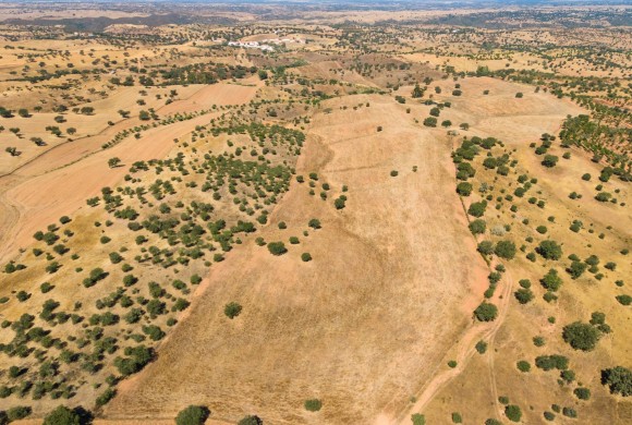 Land for sale in Mértola