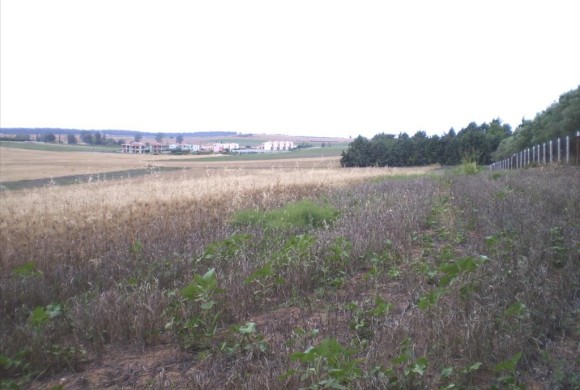 Land for sale in Chalkidiki