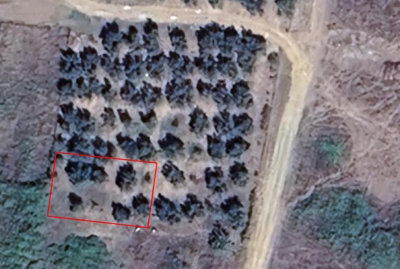 Land for sale in Chalkidiki