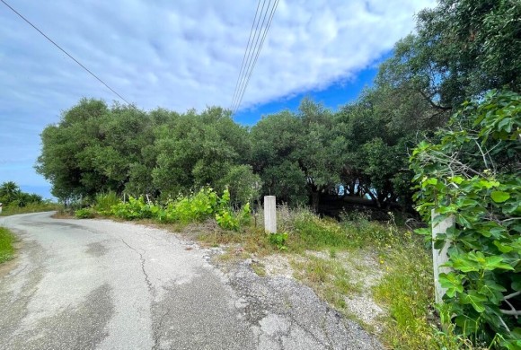 Land for sale in Corfu Prefecture