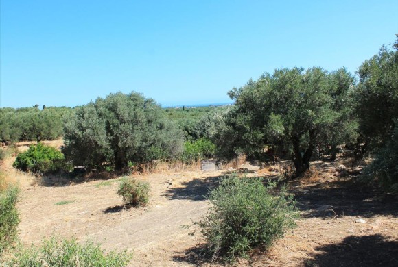 Land for sale in Heraklion Prefecture