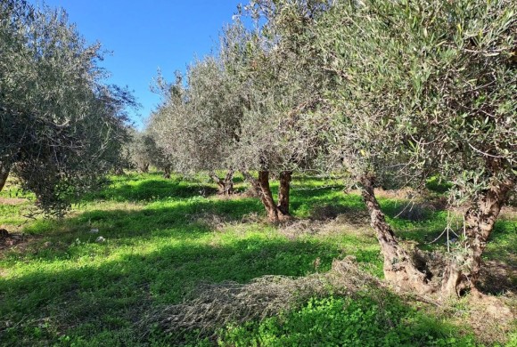 Plot for sale in Crete