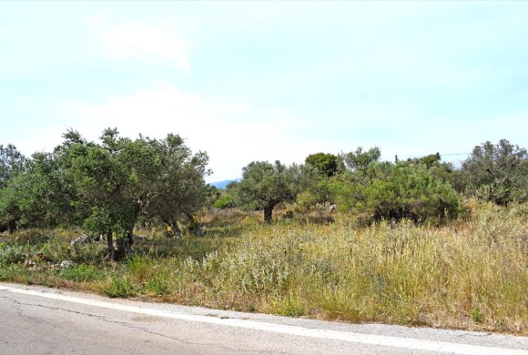 Land for sale in Chania Prefecture