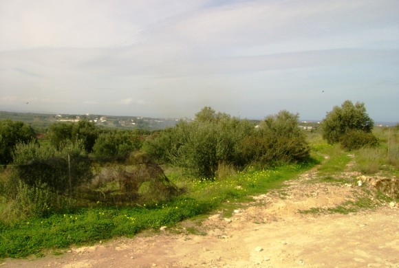 Land for sale in Rethymno Prefecture
