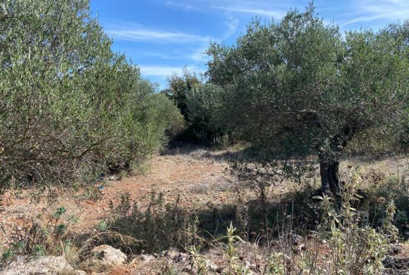 Land for sale in Chania Prefecture