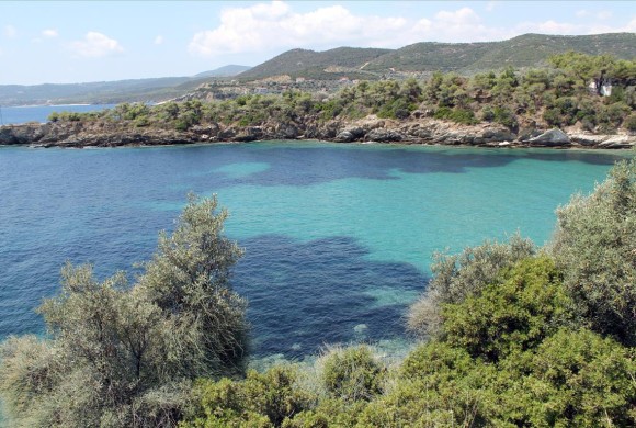 Land for sale in Chalkidiki