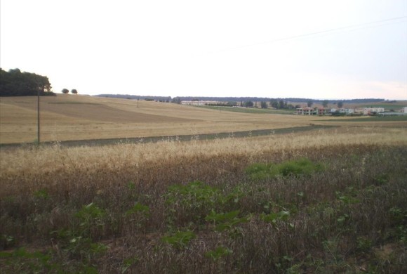 Land for sale in Chalkidiki