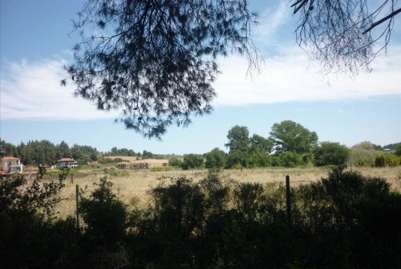 Land for sale in Chalkidiki