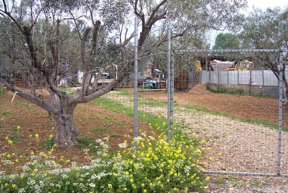 Land for sale in Evia